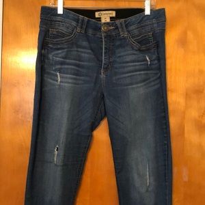 Democracy Destressed Skinny Jean